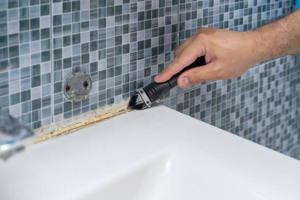 Best Professional Mold Removal  in Untain View, MO